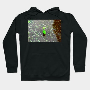 Iao Valley State Monument Study 4 Hoodie